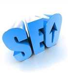 SEO优化如何提高收录